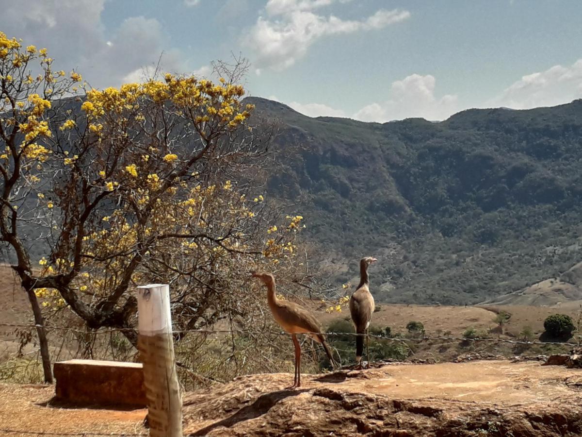 Casa Grande, Bem Espacosa, Em Itambe Do Mato Dentro, Cabeca De Boi Villa Exterior foto