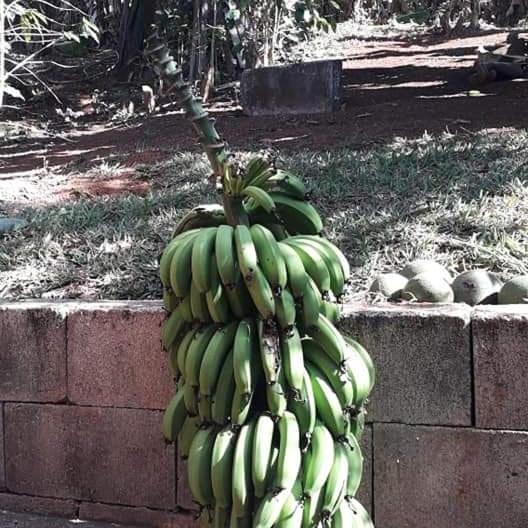 Casa Grande, Bem Espacosa, Em Itambe Do Mato Dentro, Cabeca De Boi Villa Exterior foto